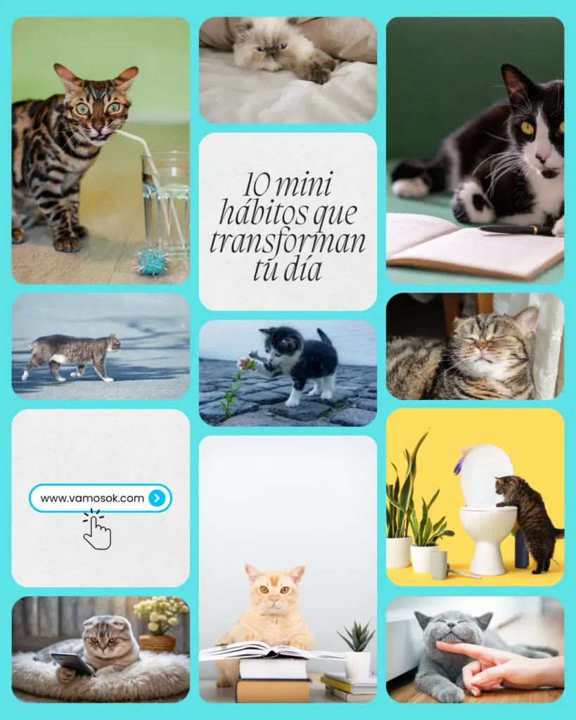 10 mini hábitos que transforman tu día desde hoy